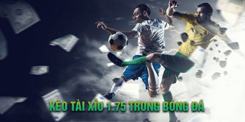 Tài xỉu 1.75 vừa dễ chơi mà phần trăm hoa hồng cũng cực kỳ cao